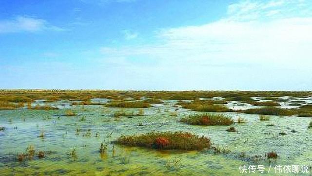 沙漠明珠起死回生! 甘肃治沙人造秸秆长城, 驱赶黄沙!