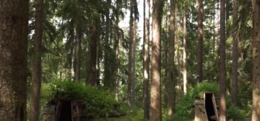 世界最奇葩酒店，没电没WiFi原始生活木屋，游客却住了不想走