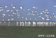 中国最“亲切”的省，周边省份都喊其“老表”,到底是为什么?