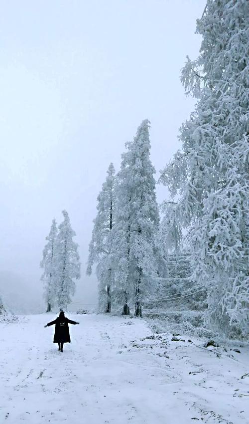 一大波美图正在向你袭来！鹰潭的雾凇让你一秒入仙境！