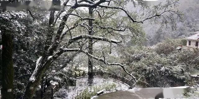  「地方」下！雪！啦！你没看错，一觉醒来，浙江这些地方白茫茫一片！