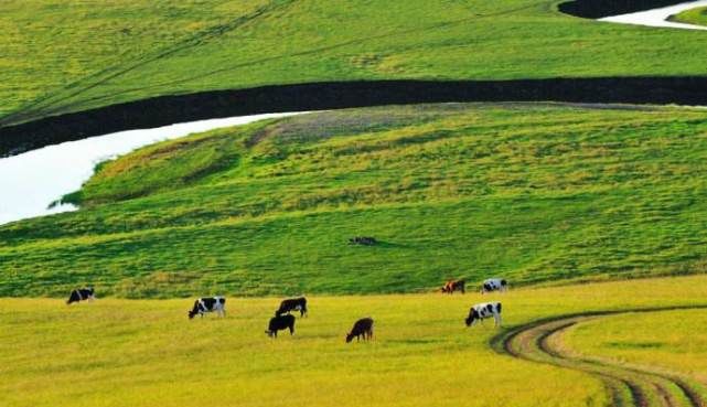 国内最适合自驾游的地方，不去太可惜，风景绝美