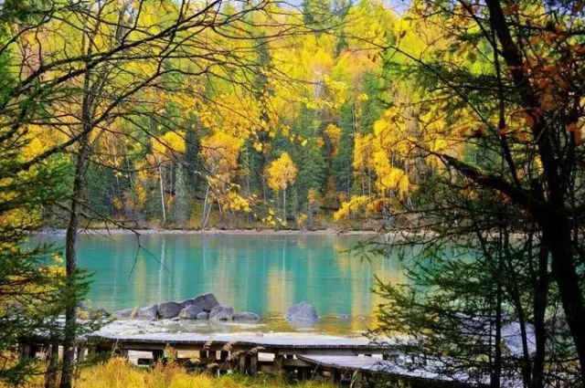 新疆这10个地方在这金色的秋天，等你来欣赏