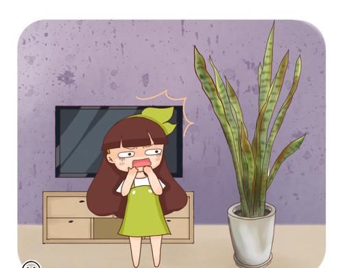  「虎皮」买的虎皮兰运输中折断了，立马扦插，超级爱活！