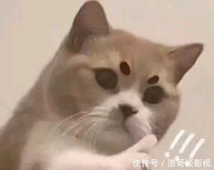  『防护力』肌肤也有生物钟 掌握这些秘诀让护肤事半功倍