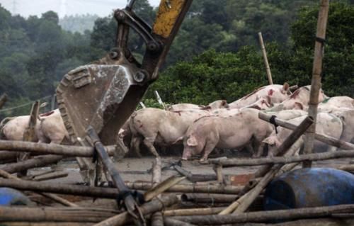  【变动】9月农村环保新变动，一个禁令被叫停，但农民4种行为仍