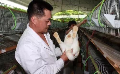  太阳能灯：农村这5个项目别小瞧，一年却有10万 的收入，比打工