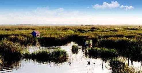 『湖泊』中国一片藏在沙漠的湖泊,有上千个湖面,现今是知名旅游景点