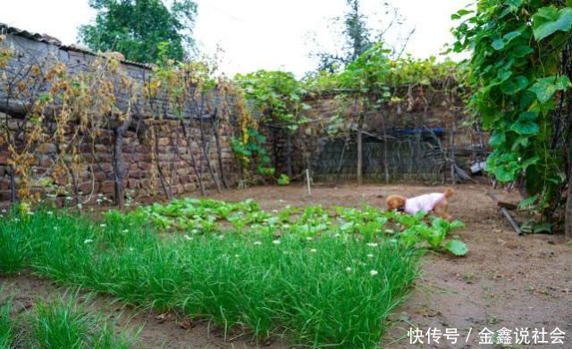  老两口@固执的农村老爸老妈：老房老院难舍，城里再好不是我的家