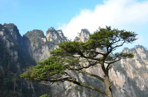 广西被忽视的一座山，主峰海拔1785米，是广西中西部最高点