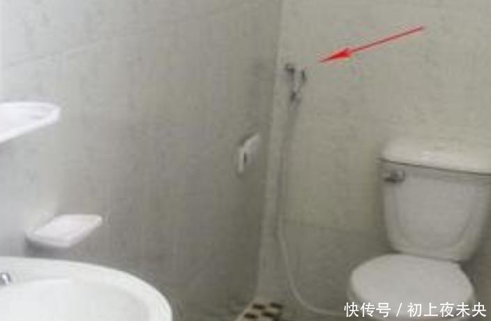 网友：在柬埔寨旅游，厕所里没有纸我忍了，给个冲水喷头什么意思