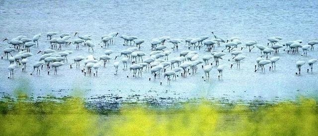  我国■我国五大淡水湖，哪个是中国最大的淡水湖，怎么排名的？