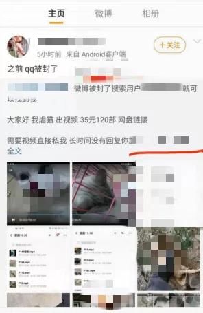 消防队员：申晨间 | 上海一离职消防队员虐猫？网友吵翻天，真相却是……