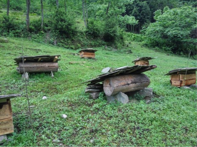 大学老师触网卖蜂蜜,靠新营销提升40%访客率