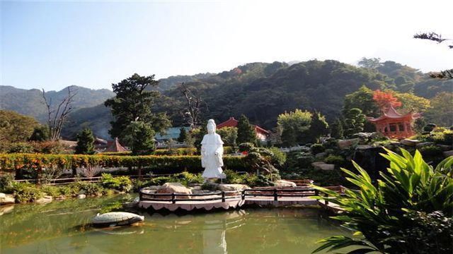 中国这座寺庙有灵气?两棵树，一棵已死但不腐不烂，一棵枝繁叶茂