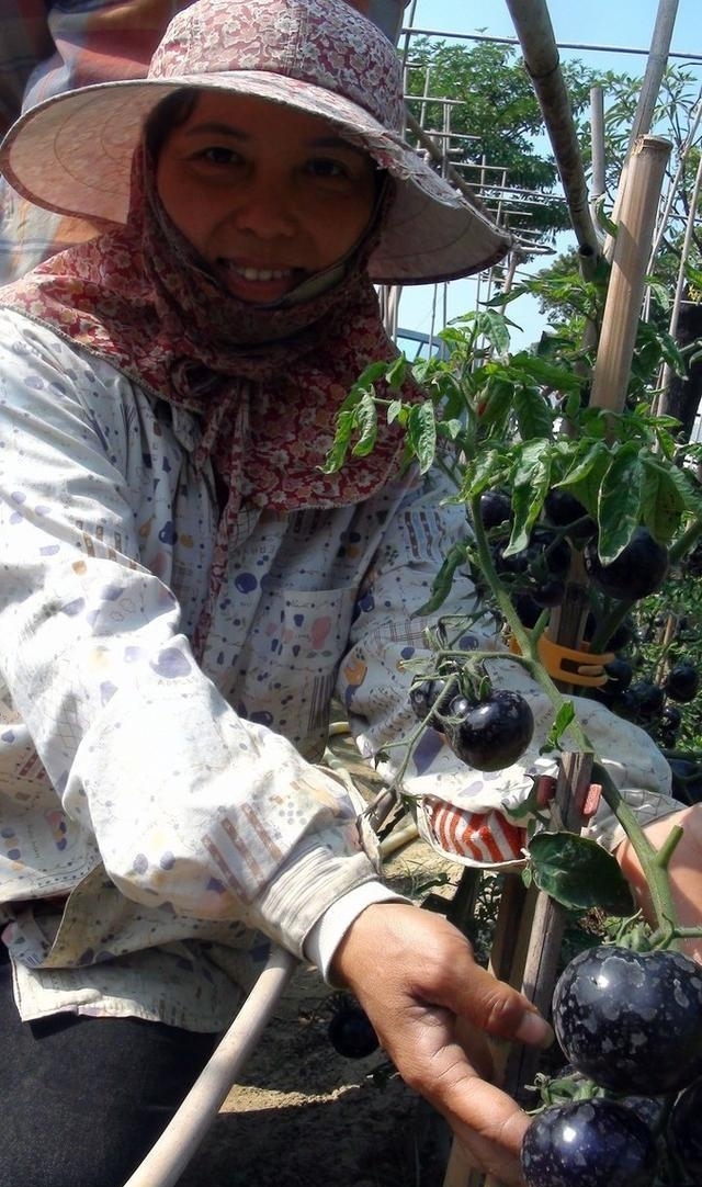 有一种水果，农民种了都舍不得吃，但是吃了会让人变美