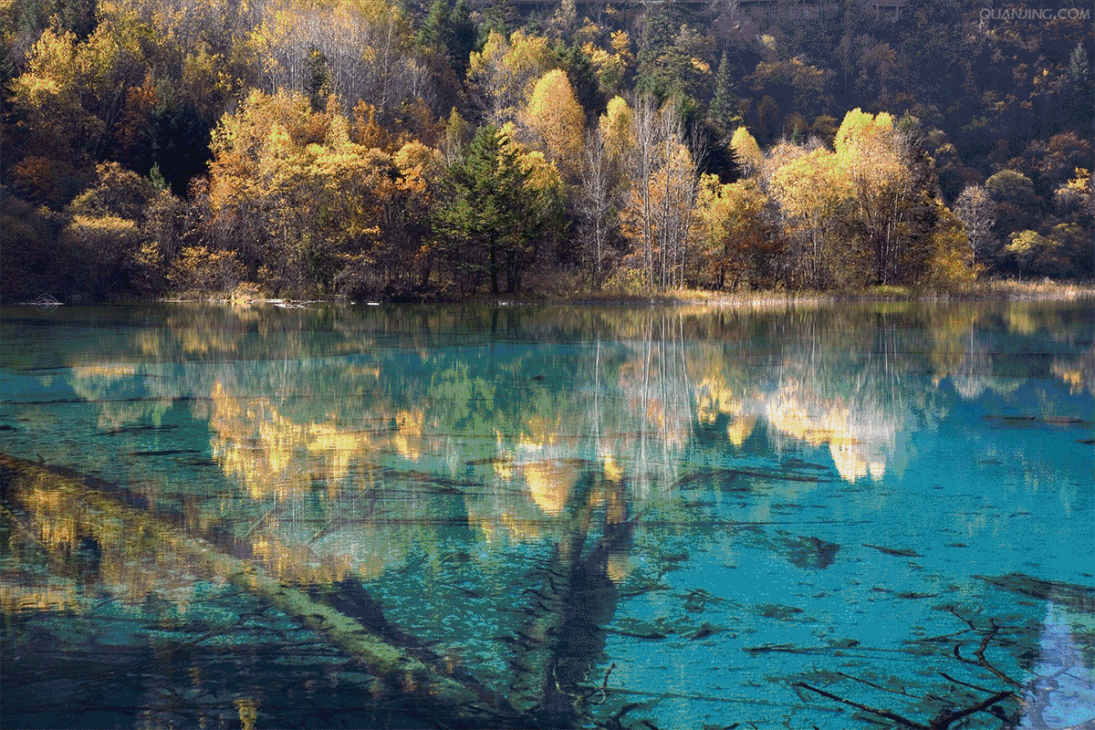 国庆四川游最强攻略,几乎囊括了四川全部美景,赏到你不想离开