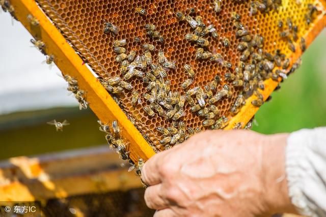 号称“真正有用的美白产品”，作用还不如7个美白土方法