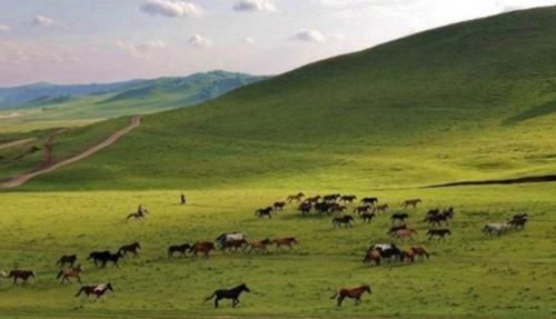  「树木」为什么大草原上的“草”长得很茂盛，却很少看见长树的