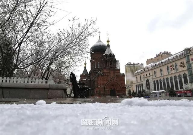 「交警部门」黑龙江这场大暴雪史上只现两次,专家分析来了!27日后可能…