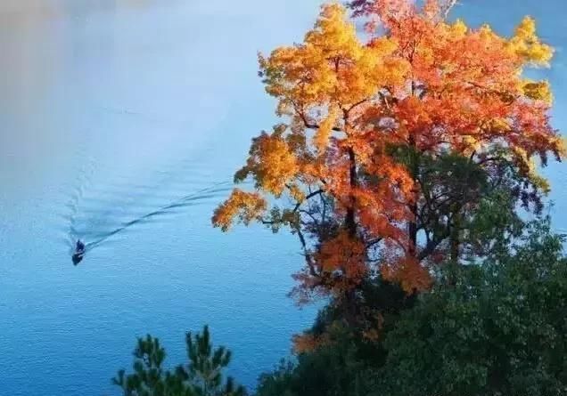 距温州2h的处女小县城,集全了浙江所有令人意外的美景,鲜为人知