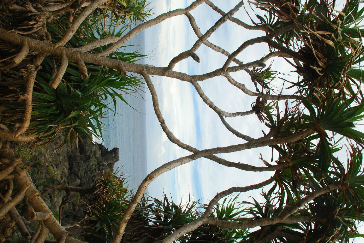 盘点风景独特的旅游景点，从你所熟知的张家界天子山、合肥翡翠湖