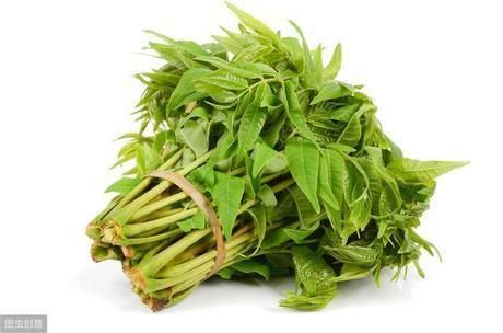  挑选■买香椿芽时，选紫香椿还是绿香椿？不会挑选的，学学种植户的方法