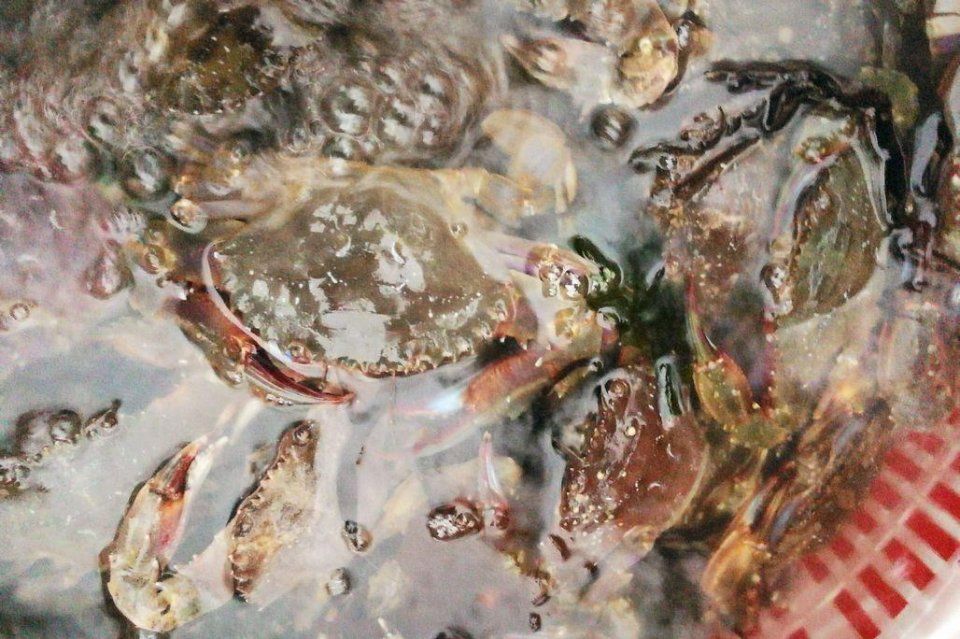 海鲜摊贩说 自从卖上梭子蟹 家里就没吃过活的 每天4个小时坚守