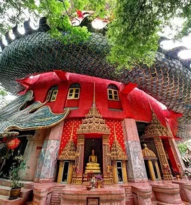 全球最“神圣”的寺庙,中国游客见了脸色苍白,专家大怒:非常过