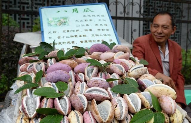  『果树』家有空地的，这种果树要种2棵，沾土就活，果子特别甜！
