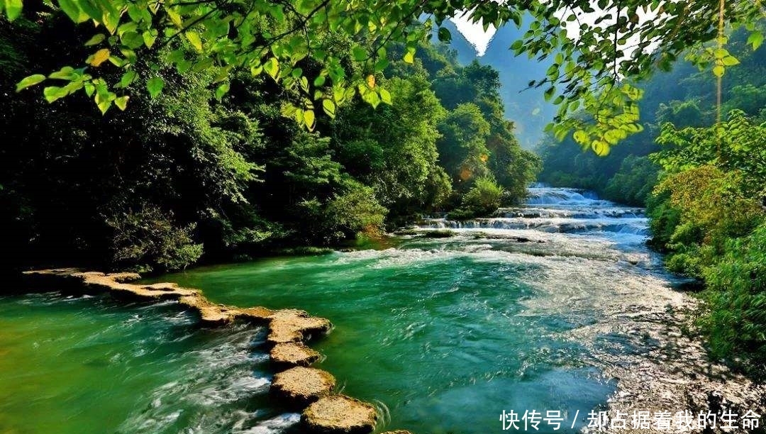 冬季十大森林中景色最美的一处,1、2月份也是山青水绿鸟语花香