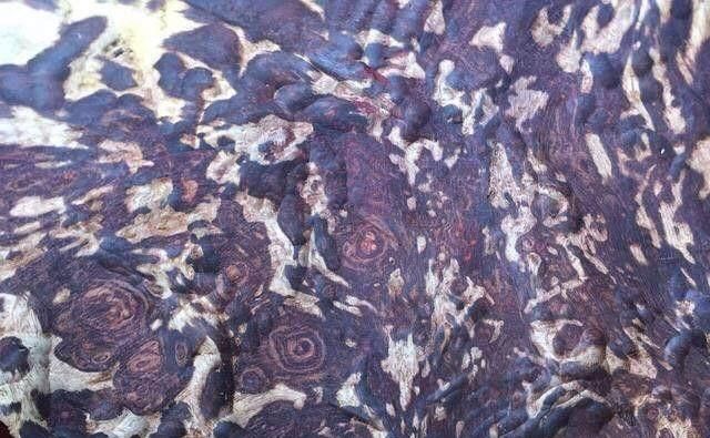 浙江富商从潘家园拉回一大块木头, 一刀切开 满头大汗、如临大敌