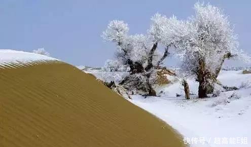 甘肃沙漠居然下雪了, 刚拍的! 简直美到爆! 一组照片惊艳全国~