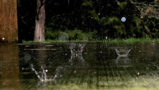  [冷冬]今冬雨雪是多还是少？冬季是冷冬还是暖冬？听听农村老人