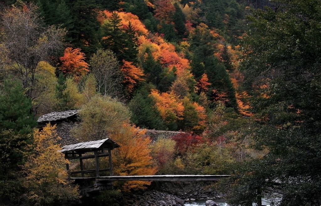 四川这个景点以红叶著称 中国面积“最大”的红叶景区