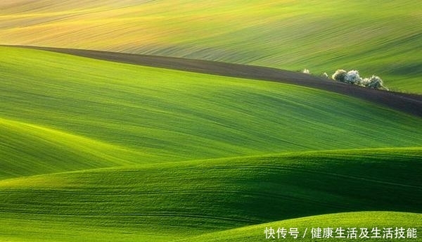 让摄影作品具有情感内涵，摄影初学者不可错过线条这一视觉元素