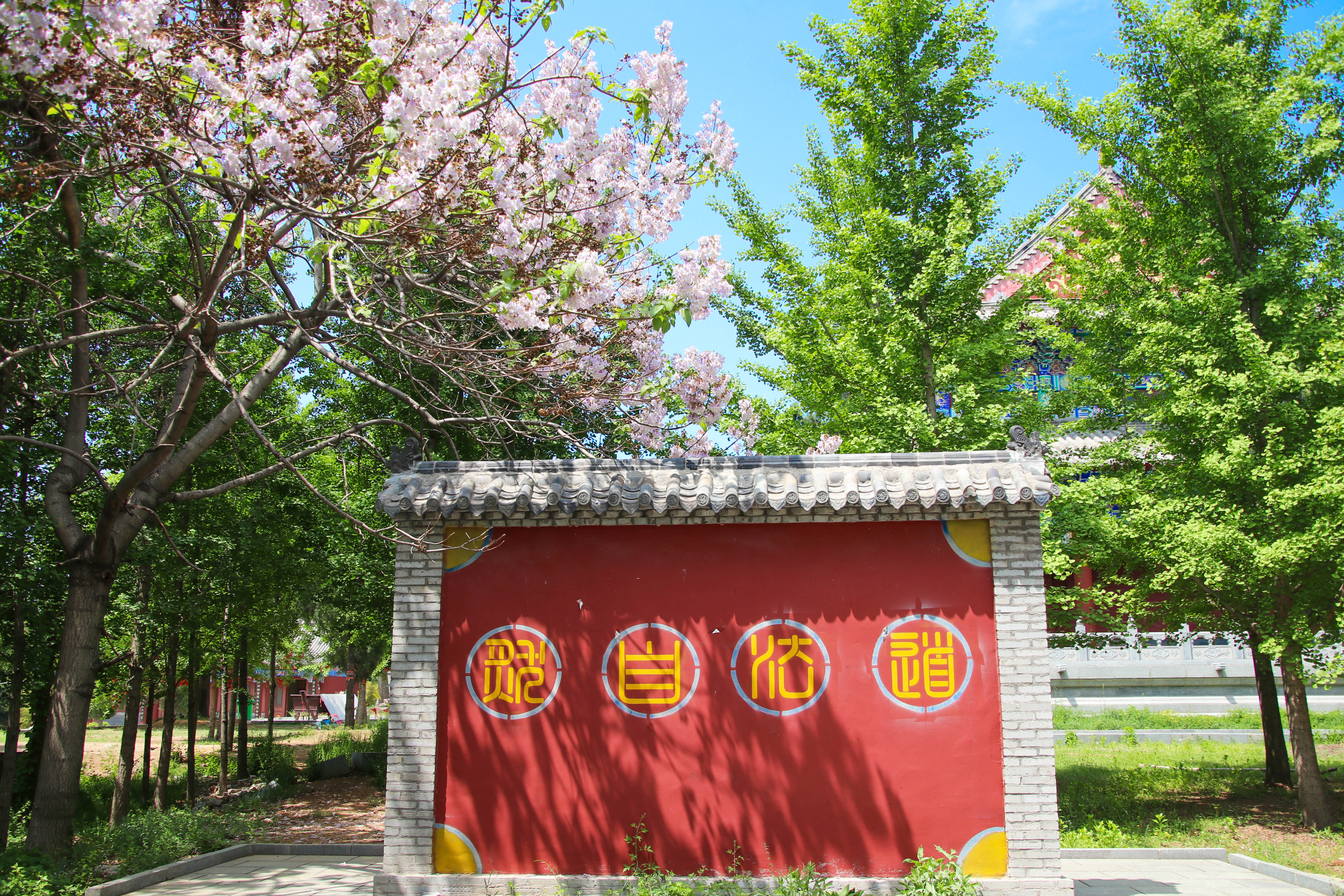 来沂蒙山，我“养”你啊