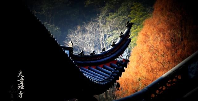 东南佛国天童寺：赴一场人与自然的对话