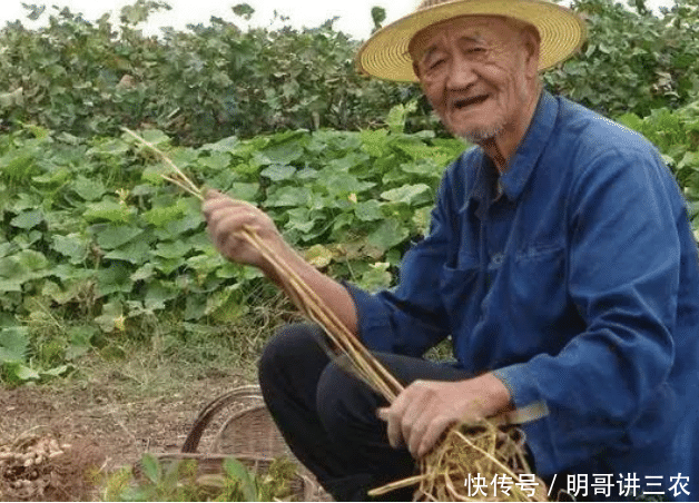  有钱人|农村在未来几年，这3类人可能会成为“有钱人”，其中有