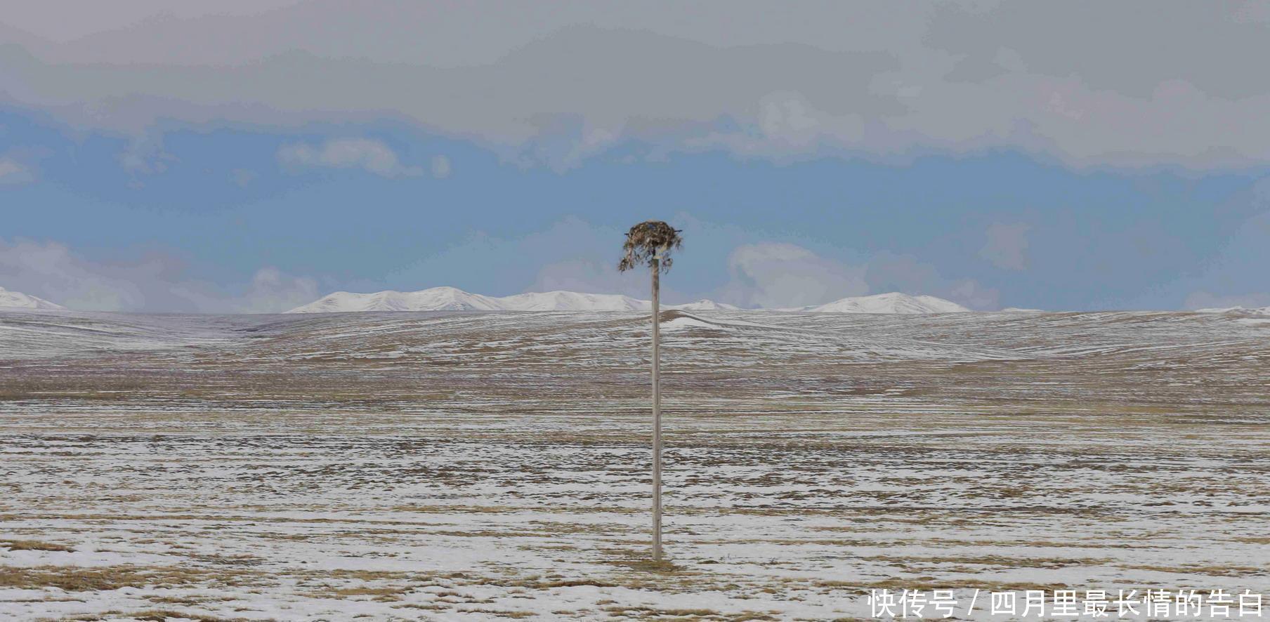 『玛多县』黄河源头被称“千湖之乡”!自驾青海,探访母亲河源头遇荒寂之美
