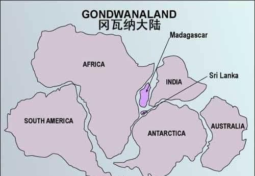 「南极」南极冰层800米深处,科学家发现了生命体,说明了什么?