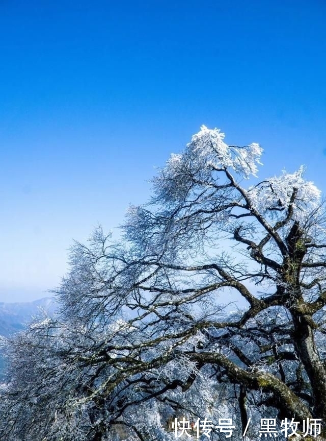 冰雪:灌阳风情:宝盖山的冰雪世界