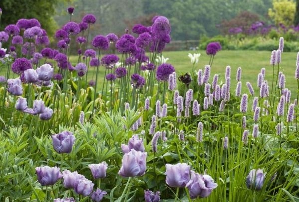 花园:【花名册】吻我,越过花园的那扇门。