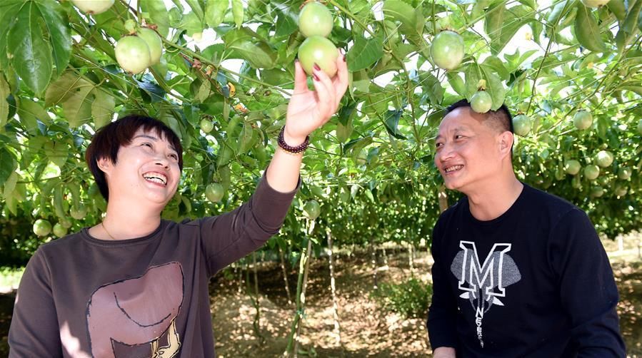  电商@在农村，这一职业有发展前景，但只适合农二代，没闲钱的人
