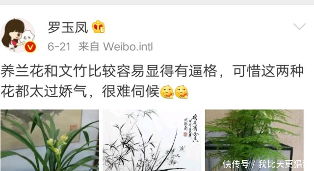 凤姐为李小璐洗白评论区传出她要退出网红圈的消息，真的假的