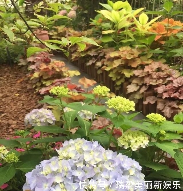  「平方」有了30平方的小院，能将日子过成了诗？简单而精致，优雅而从容！