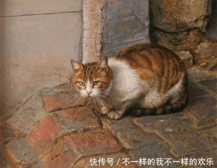 你站在窗外看风景,看风景的猫在窗外看你