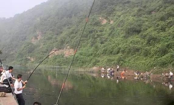  钓友们■是哪些原因导致黑坑鱼口短暂，有什么好办法来解决么