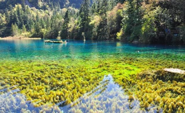 四川九寨沟游玩攻略