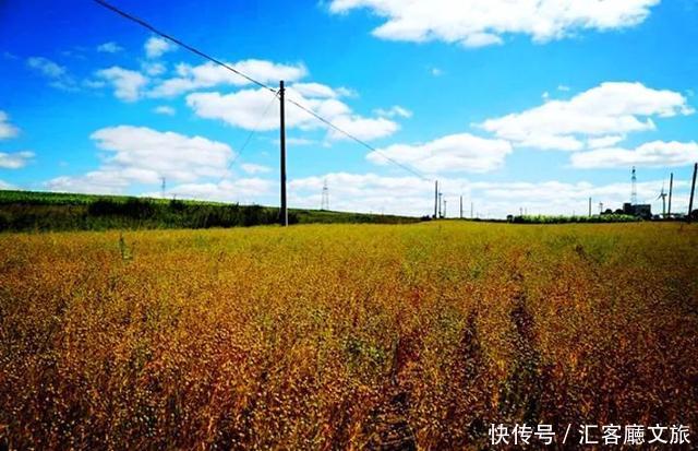 10处绝美秋季自驾打卡地，开车去看最美的风景